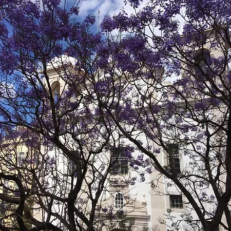 Appartement Casa Do Caldas