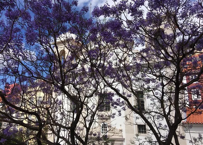 شقة Casa Do Caldas